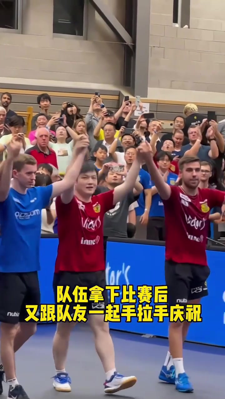 开云体育中国-中国队力克德国队，樊振东带队取胜