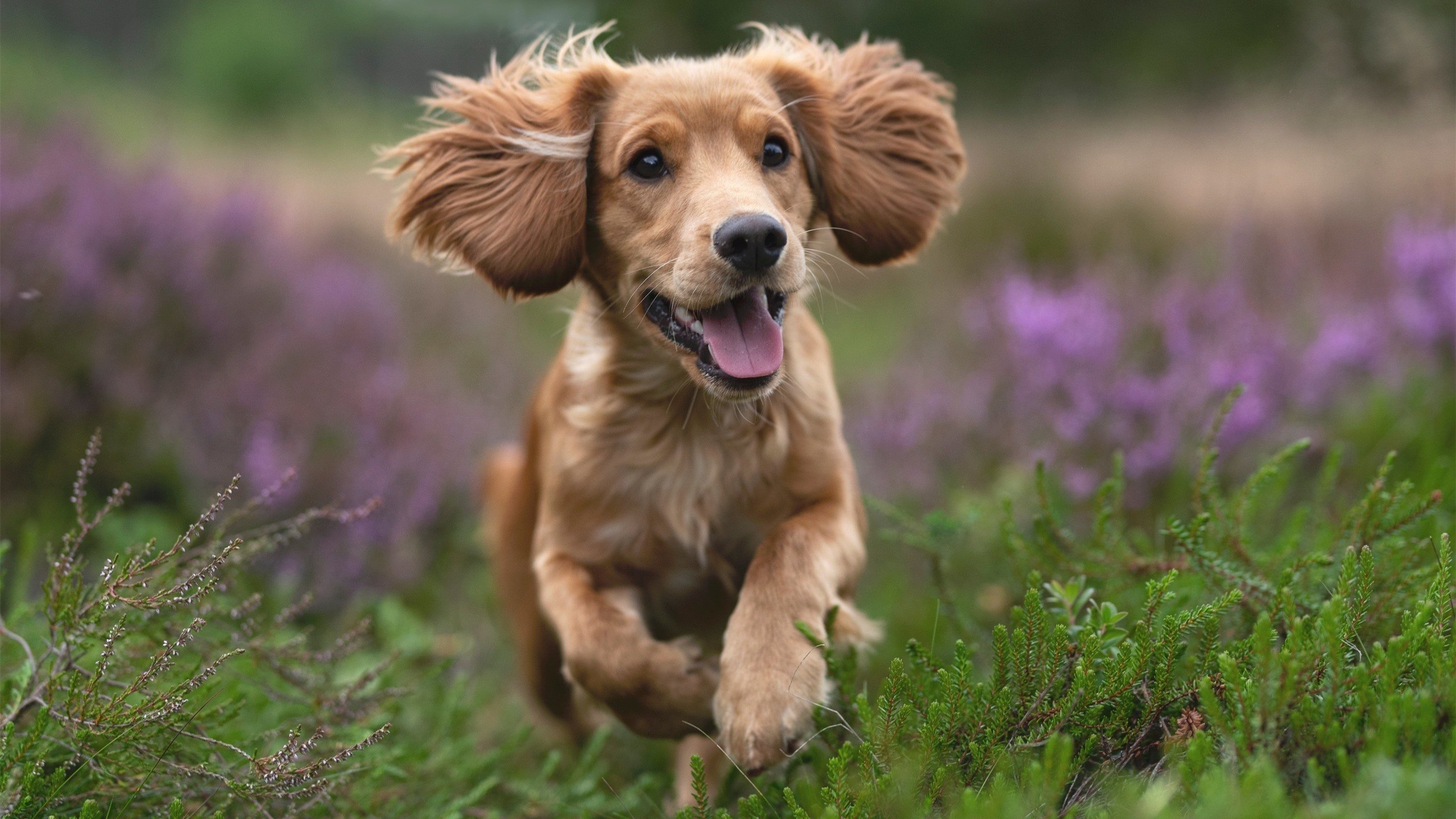 铁幕之下,巴斯托尼如何在对决尤文的硝烟中铸就硬仗之王的丰碑