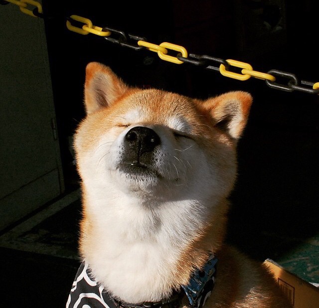 一场命运急转弯,布克亲手将雷霆推向辽宁队