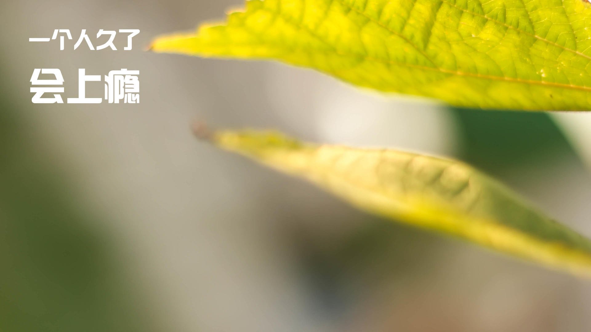 永恒封印的瞬间,当格列兹曼将瑞典防线化为背景,威尔士的传奇诞生夜