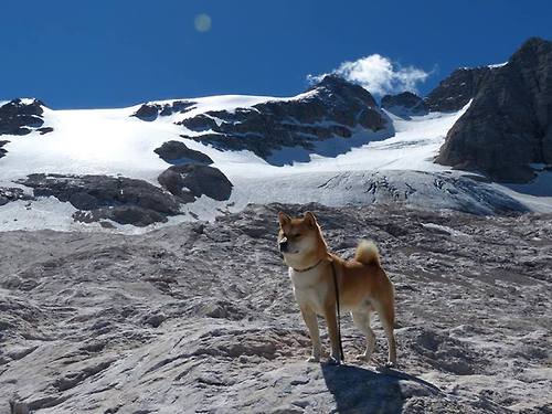 开云体育在线-一场比赛，一种神迹，格列兹曼的末节接管如何颠覆了足球的终局定义