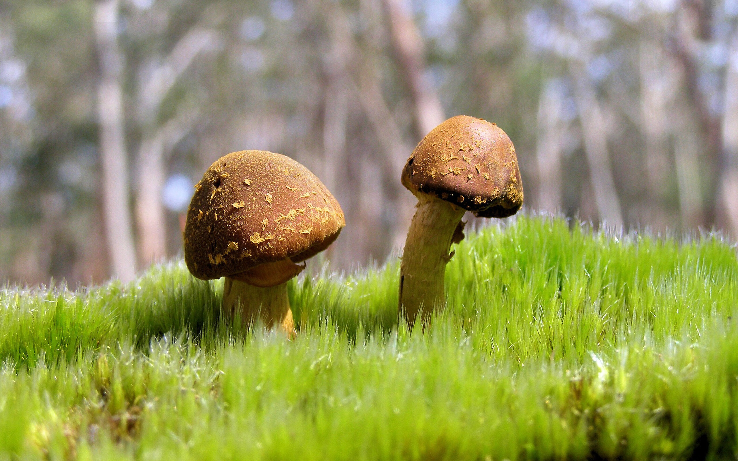 若日尼奥数据全面爆炸,为何却在卡塔尔与皇家社会的对决中沦为华丽的注脚?