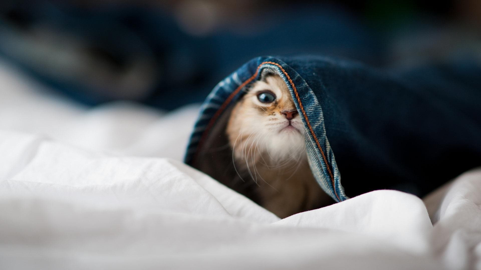 当西甲德比激战正酣，萨拉赫悄然完成历史性突破