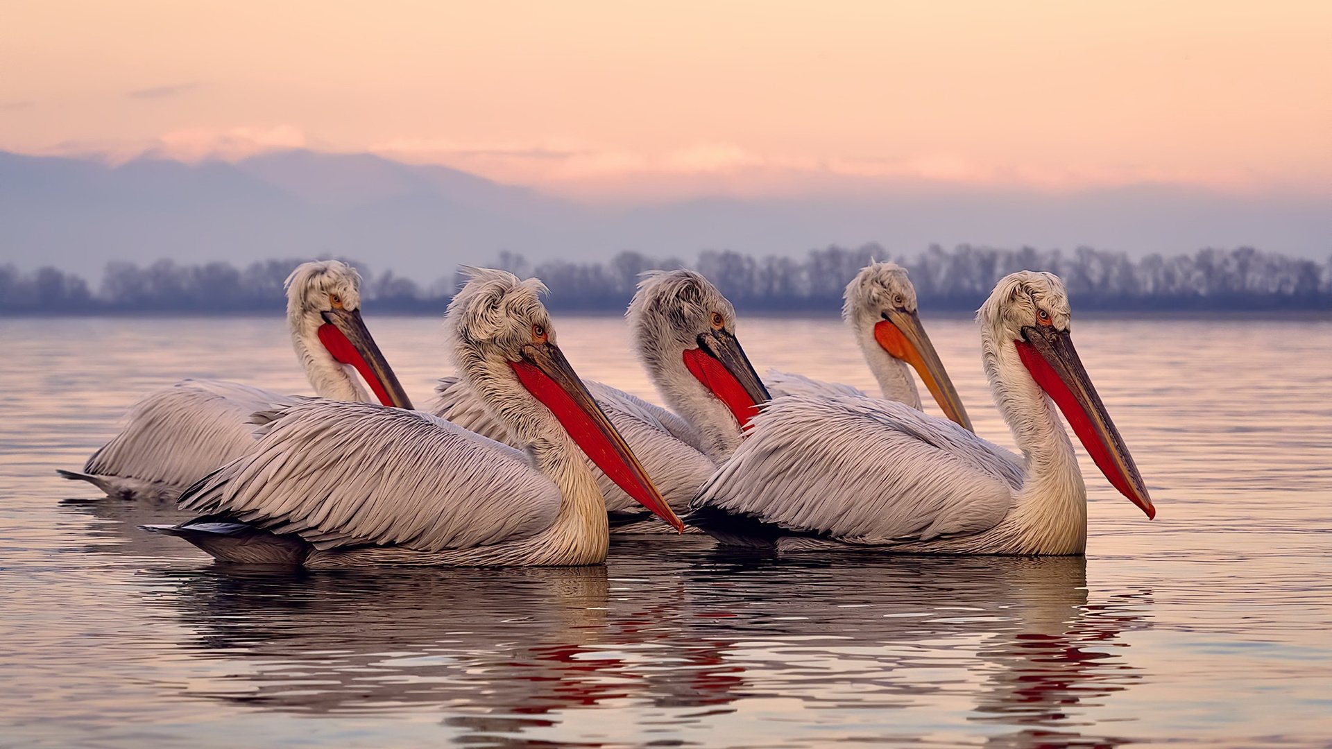 唯一性的诠释，快船加时鏖战胜太阳，西决生死战铸就经典