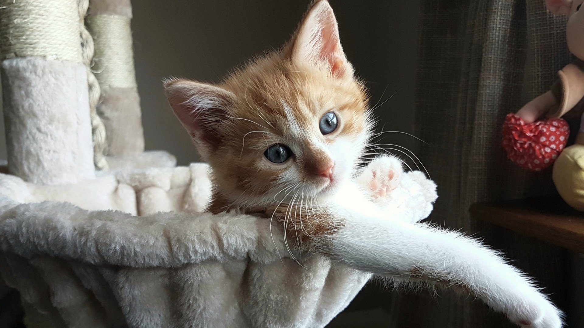 开云体育APP下载-奥利维耶，韩国对阵希腊赛后评分拉满的战术核武