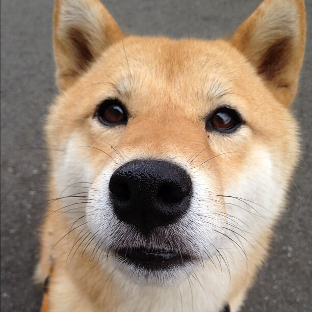 当欧冠遇见天山，新疆队单节魔术如何诠释半决赛的终极悬念