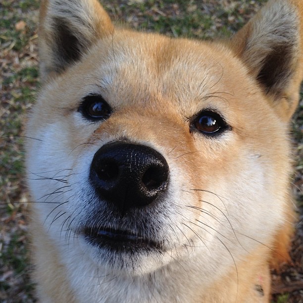 开云体育2026-淬火之人，爱德华兹如何用三分钟让湖人的黄昏提前降临