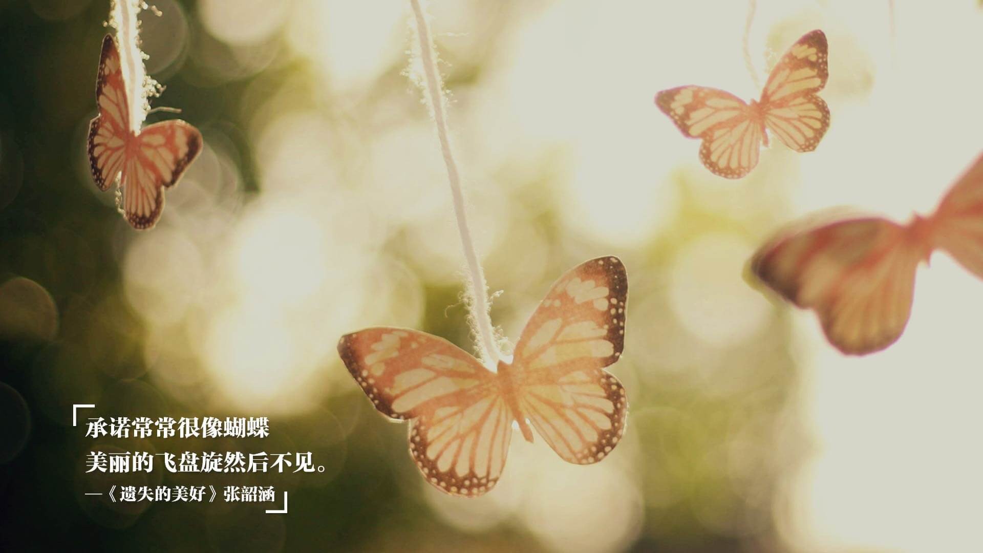 中轴线的统帅，阿坎吉以沉默的巨石，定义一场洲际对话