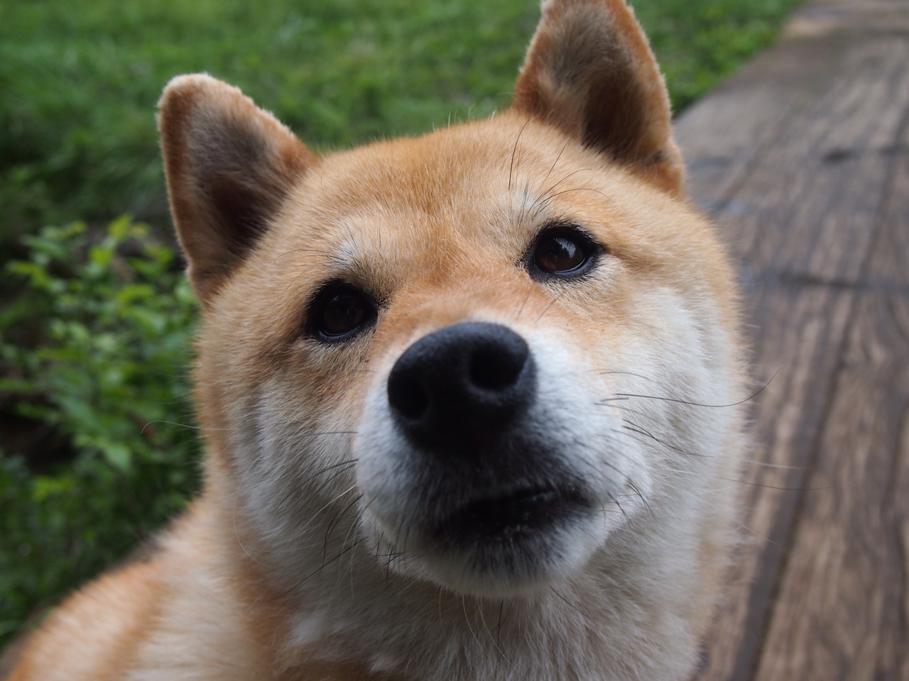 德甲争冠夜,魔笛终章,莫德里奇末节主宰比赛