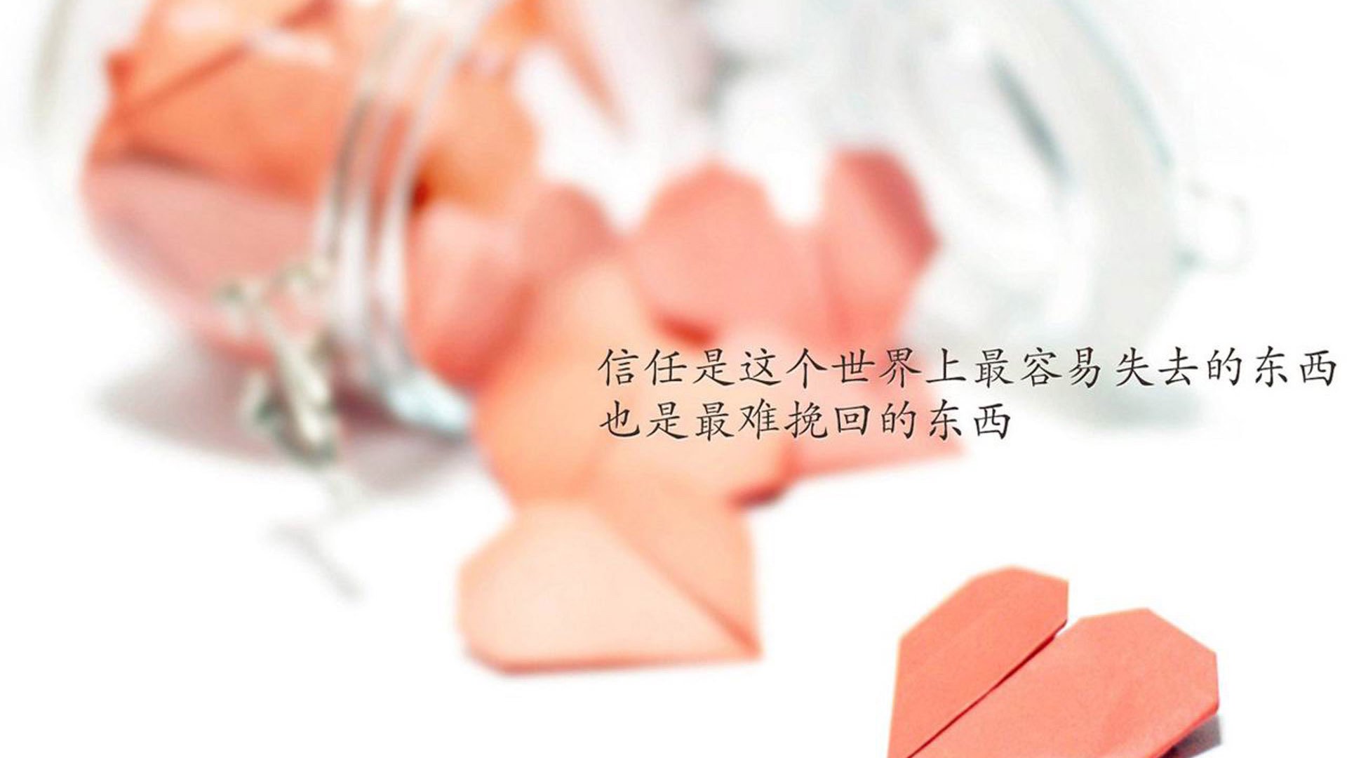 沙漠之狐与南美红魔的宿命对决,阿诺德一剑封喉,2026世界杯C组上演唯一传奇