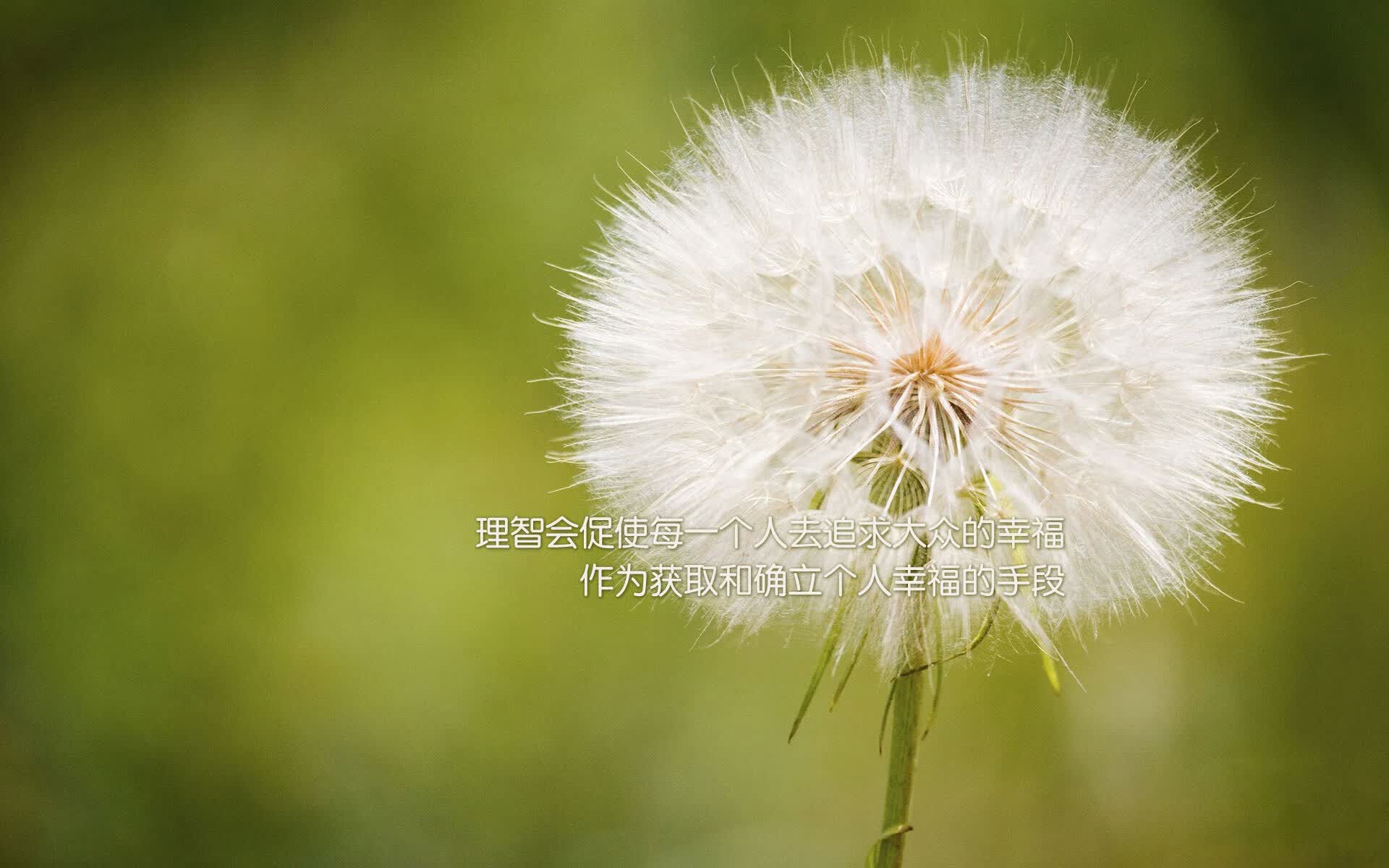 开云体育中国-独一无二的黑马之战，哥斯达黎加碾压奥地利，阿方索戴维斯导演攻守转换狂潮